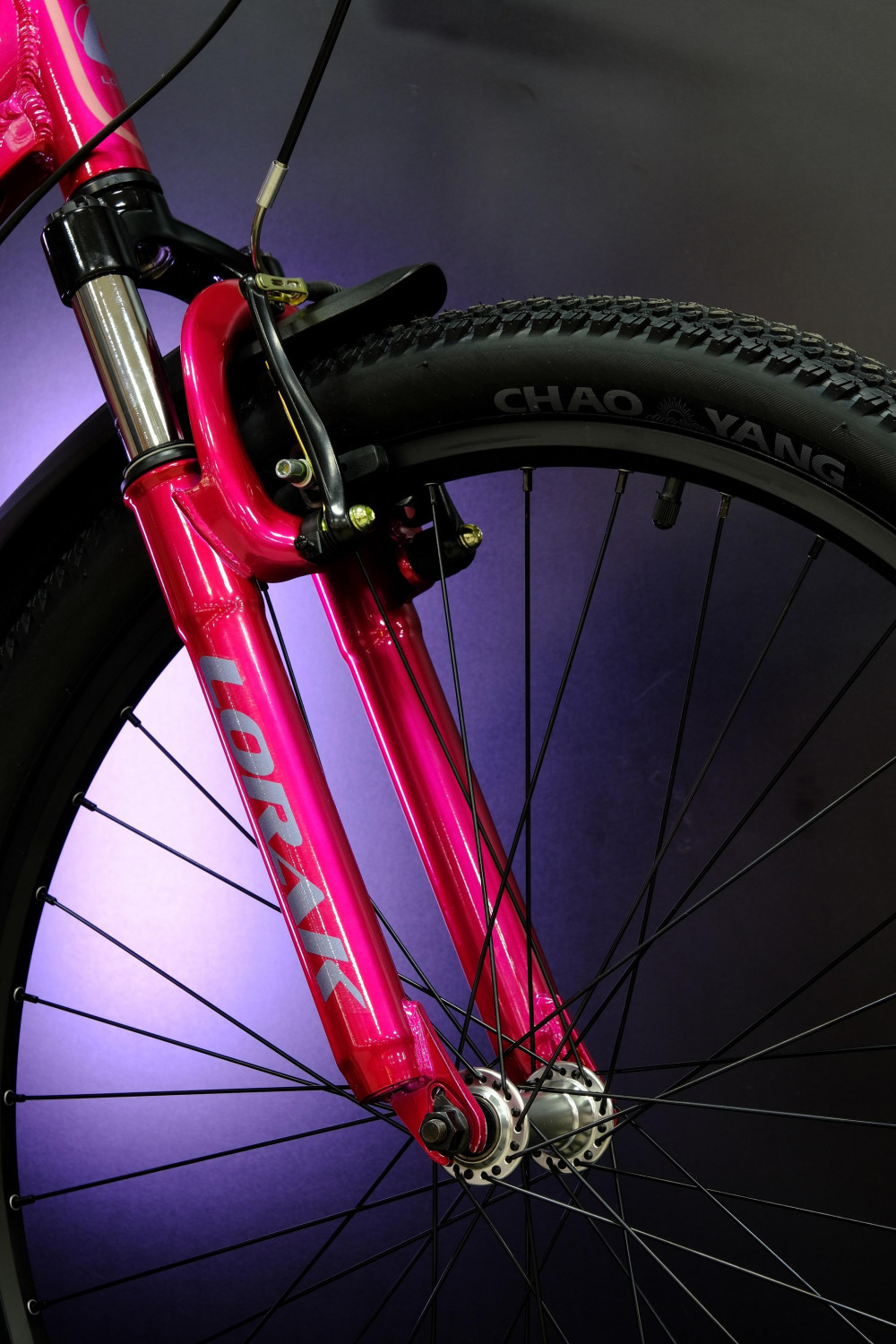 Lorak Comfort Lady Nexus