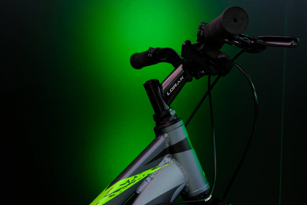 LORAK Safe PLUS 24 Серебристый/Зелёный